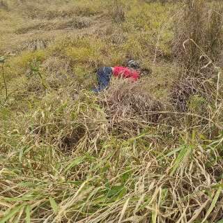 Motociclista morre ao invadir pista contrária e atingir caminhão