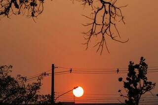 Sol brilha forte em Campo Grande na despedida deste inverno (Foto: Henrique Kawaminami)