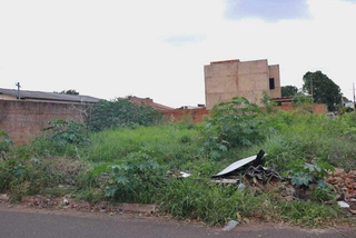 Terreno abandonado com mato alto e entulho. (Foto: Arquivo/Marcos Maluf)