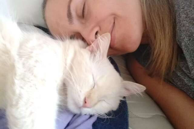 Quando gato foge, esperan&ccedil;a de encontrar vem com medo dobrado