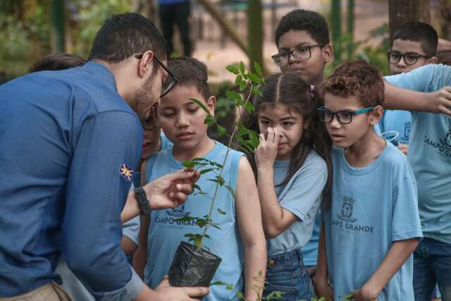 Estudantes celebram Dia da &Aacute;rvore aprendendo a criar mudas