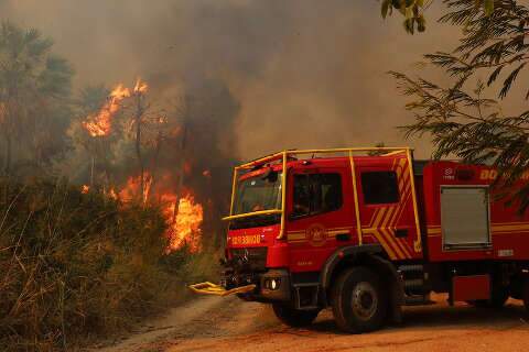 No STF, MS apontou aumento de 39% no efetivo contra incêndios no Pantanal