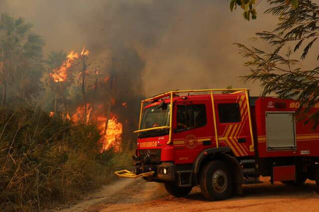 No STF, MS apontou aumento de 39% no efetivo contra inc&ecirc;ndios no Pantanal