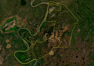 Imagem de satélite &#34;entregou&#34; crimes de queimada e grilagem em área da União. (Foto: Divulgação/PF)