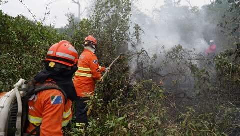 “Ranking do fogo” coloca Corumbá como 3º que mais queimou no País