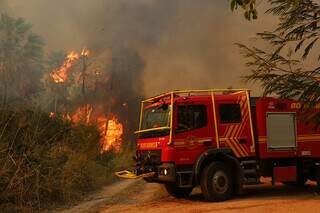 Corpo de Bombeiros durante combate aos incêndios no Pantanal (Foto: Álvaro Rezende/Governo de MS)