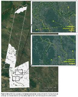 TJ libera desmate de 20 mil hectares no Pantanal 