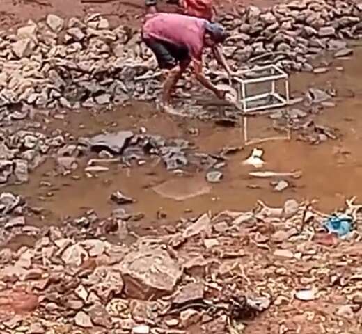 Peixes s&atilde;o &ldquo;pescados&rdquo; com as m&atilde;os em po&ccedil;as no Rio Anhandu&iacute;