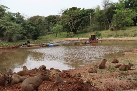 Mais de 11 mil m³ foram retirados do lago do Parque das Nações Indígenas  