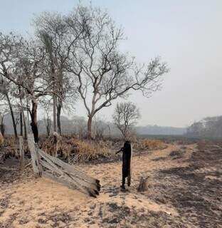 Cercas e porteira destruídas pelos incêndios florestais no Pantanal, região de Aquidauana