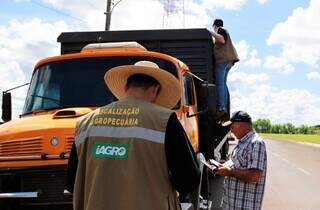 Médico veterinário da Iagro atuando em ponto de fiscalização (Foto: Saul Scharmm)