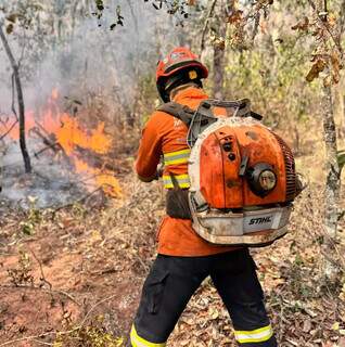 Farda obrigatória no combate a incêndios tem parte de cima cor laranja (Foto: Divulgação/Corpo de Bombeiros)