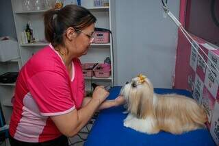 História começou com Carol sendo uma tutora &#34;machucada&#34;. (Foto: Paulo Francis)