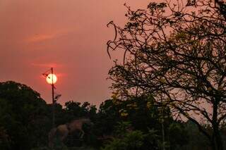 Sol visto nesta manhã do Parque das Nações Indígenas, na Capital (Foto: Henrique Kawaminami)