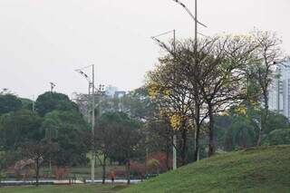 Paisagem do Parque das Nações Indígenas compõe com céu enfumaçado nesta manhã (Foto: Henrique Kawaminami)