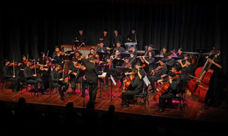 Música clássica está inserida na programação do festival nesta semana. (Foto: Divulgação)