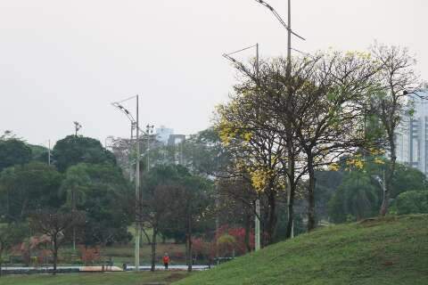 Pluma de fumaça segue no céu, mas qualidade do ar é boa na Capital