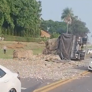 Carreta com papelão tomba em curva conhecida por registrar vários acidentes
