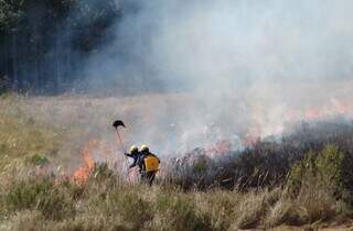 Bombeiro combate incêndio na região do Pantanal de MS (Foto/Divulgação)