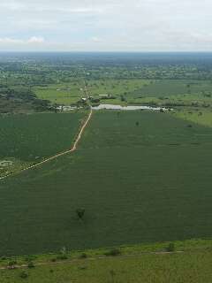 Governo dá mais 180 dias de prazo para regularizar fazendas no Pantanal