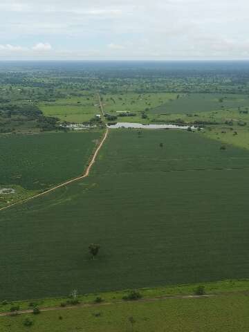 Governo d&aacute; mais 180 dias de prazo para regularizar fazendas no Pantanal