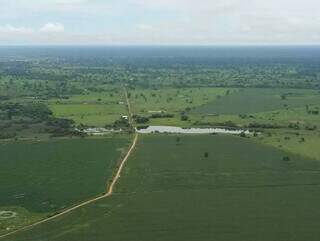 Lei do Pantanal ampliou proteção e fazendas e empresas precisam adequar pedidos de licença (Foto: Arquivo/ Instituto do Homem Pantaneiro)