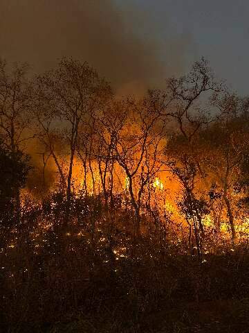 Raios s&atilde;o irrelevantes como causa de inc&ecirc;ndios deste ano, refor&ccedil;am especialistas