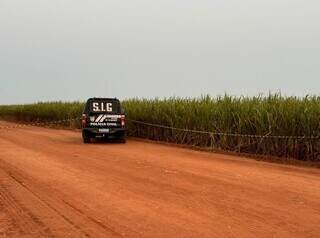 Viatura da Polícia Civil no local onde corpo de Mariana foi encontrado, ontem à tarde (Foto: Divulgação)