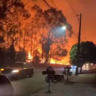 Incêndio em vegetação atinge área de mata nativa do Exército