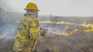 União, Estado e voluntários mantêm equipes no Pantanal para combater incêndios (Foto: Mayangdi Inzaulgarat/Ibama)