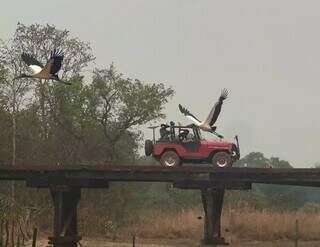 Carro atravessando ponte em estrada que dá acesso à pousada (Foto: Arquivo pessoal)