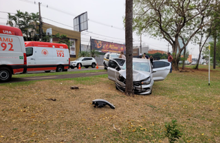 Carro dirigido pela motorista de aplicativo foi parar no canteiro central após bater em árvore (Foto: Gabriel de Matos)