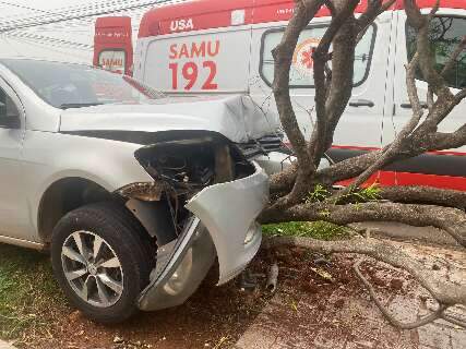 Motorista é fechado e carro atinge árvore no Jardim Autonomista