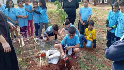 Crianças aprendem a conservar meio ambiente com reflorestamento na escola