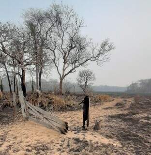 Pantanal de Aquidauana, região onde o Senar faz levantamento das perdas; fogo destruiu cercas, porteiras, pastagens e vegetação nativa por onde passou. (Foto: Senar-MS)