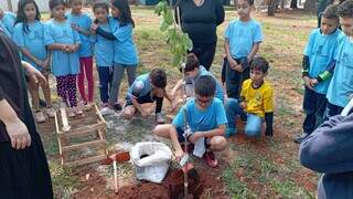 Alunos plantam árvore em praça, próxima da Escola Municipal Doutor Tertuliano Meirelles (Foto: Izabela Cavalcanti)