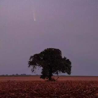 Cometa do século registrado por fotógrafo do MS (Foto: Maycon Zanata)