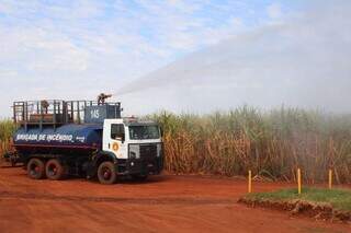 Brigada de incêndio combate fogo em canavial, em Mato Grosso do Sul. (Foto: Arquivo/Semadesc) 