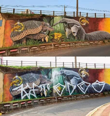 Mural do projeto tatu-canastra n&atilde;o dura nem 24 horas e &eacute; pichado em viaduto