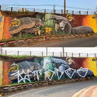 Após 4 dias, mural de tatu-canastra e tamanduá pintado em viaduto é destruído