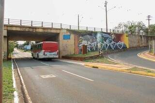 Mural do projeto tatu-canastra n&atilde;o dura nem 24 horas e &eacute; pichado em viaduto