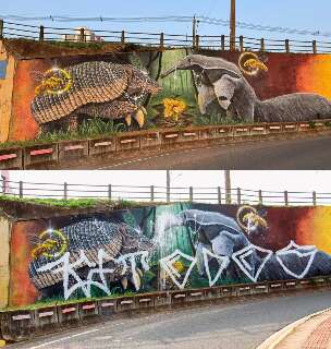 Mural do projeto tatu-canastra não dura nem 24 horas e é pichado em viaduto