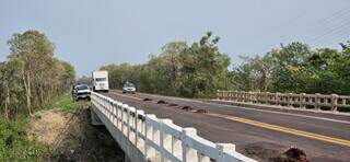 Queixadas mortas sobre ponte na BR-262 (Foto: Instituto Homem Pantaneiro)