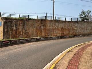 Mural do projeto tatu-canastra n&atilde;o dura nem 24 horas e &eacute; pichado em viaduto