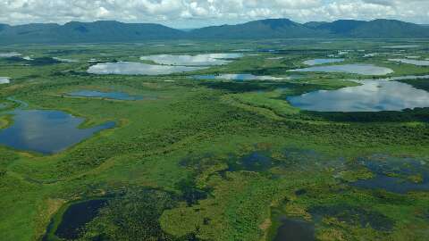 Pesquisadores vão estudar potencial energético de bacia no Pantanal