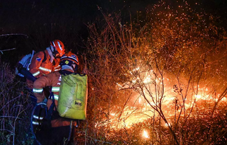 Brigadistas combatem incêndio em vegetação no Pantanal (Foto: Bruno Rezende) 