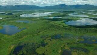 Imagem das áreas alagadas do Pantanal, na região da Serra do Amolar (Foto: Aguinaldo Silva)