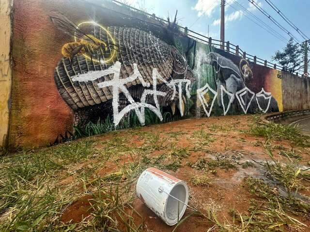 &quot;Maldade&quot;: moradores lamentam destrui&ccedil;&atilde;o de mural do projeto tatu-canastra