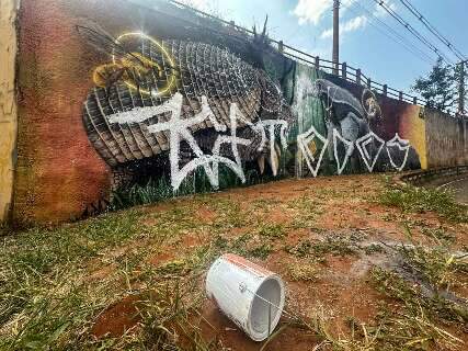 "Maldade": moradores lamentam destruição de mural do projeto Tatu-canastra