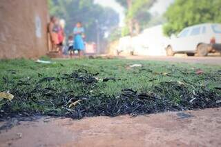 Fuligem sobre gramado em calçada da rua ao lado do terreno no Marcos Roberto (Foto: Osmar Veiga)